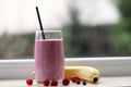 Portable Blender
